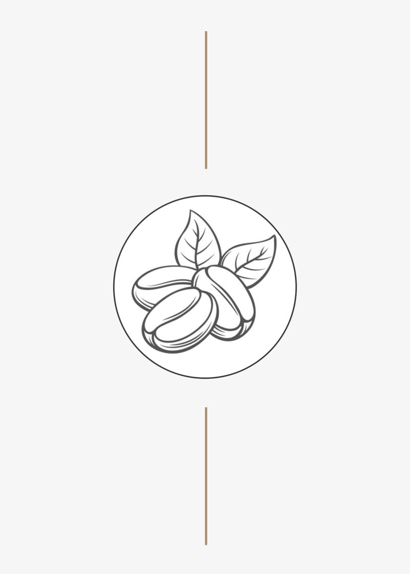 Καφές Food Service