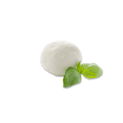 Mozzarella Di Bufala