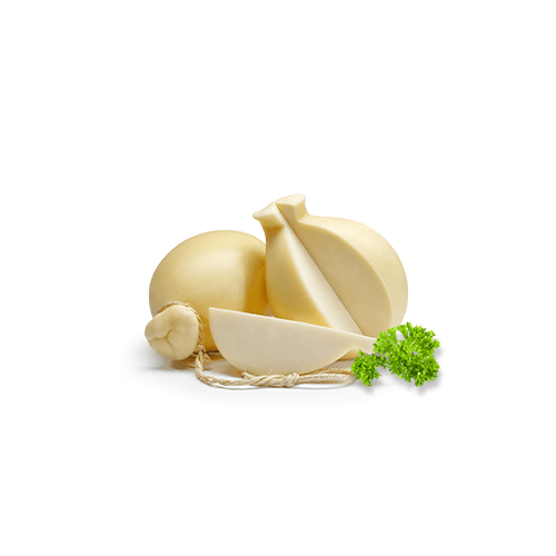 Provolone