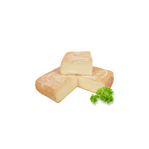 Taleggio